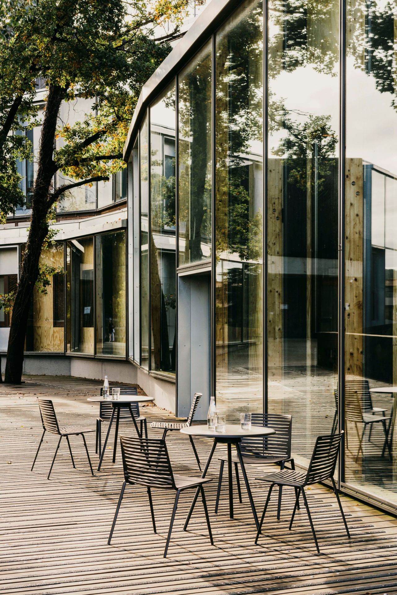 Zebra Outdoor Stuhl Fast