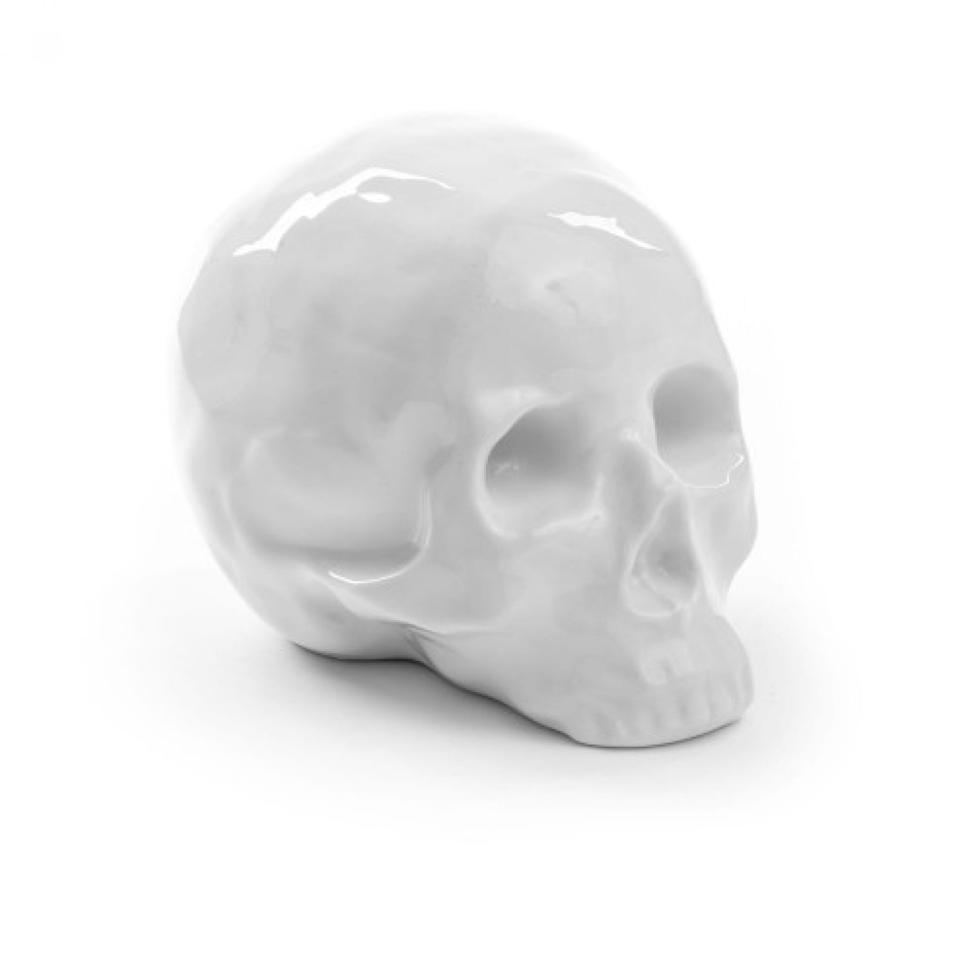 Memorabilia My Skull Skulptur Seletti EINZELSTÜCK