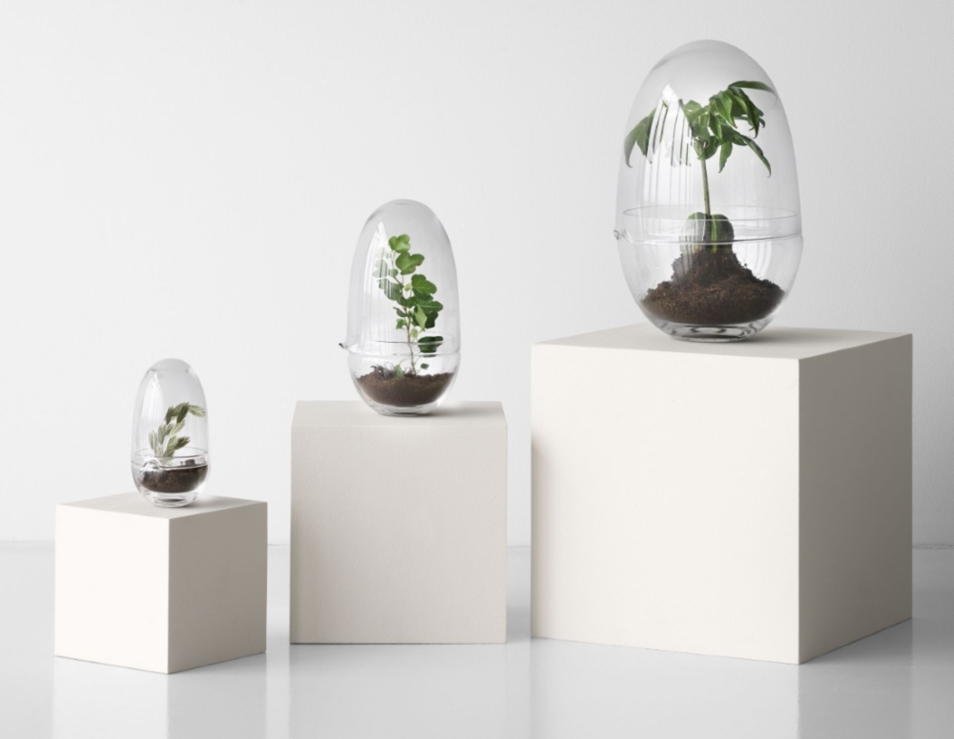 Grow XL Gewächshaus Design House Stockholm