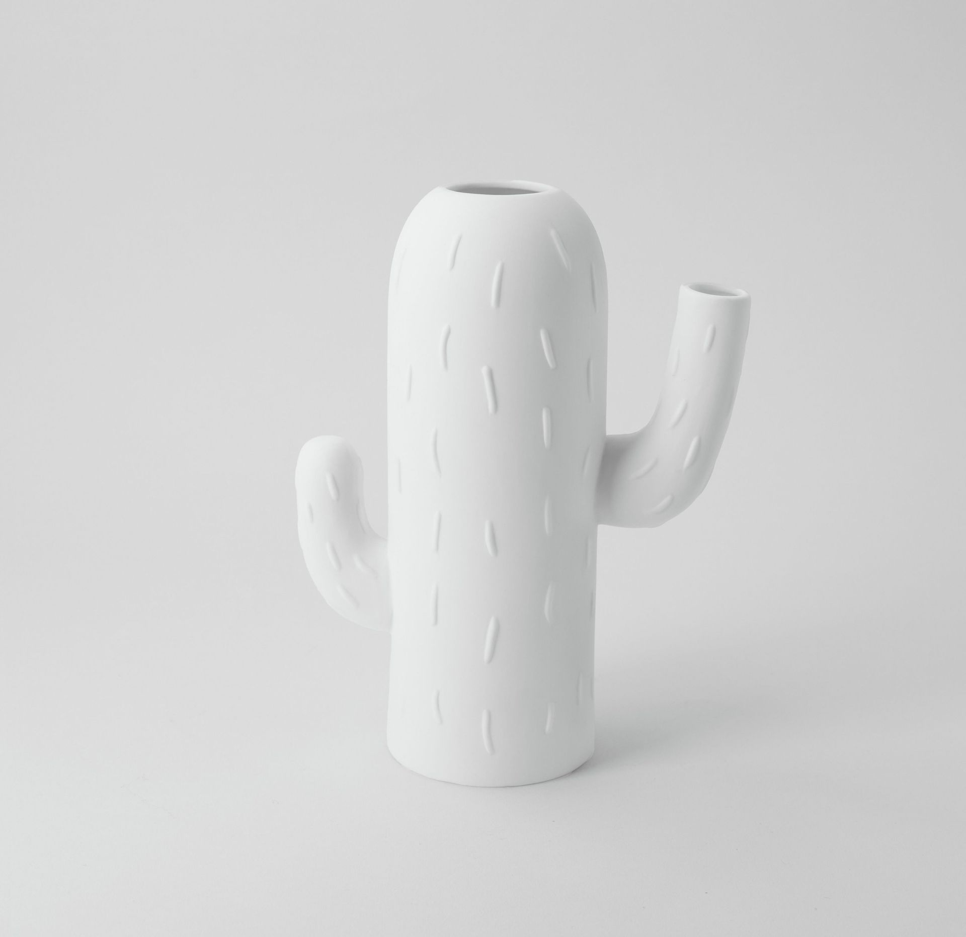 Kakteenvase Säulenkaktus Räder