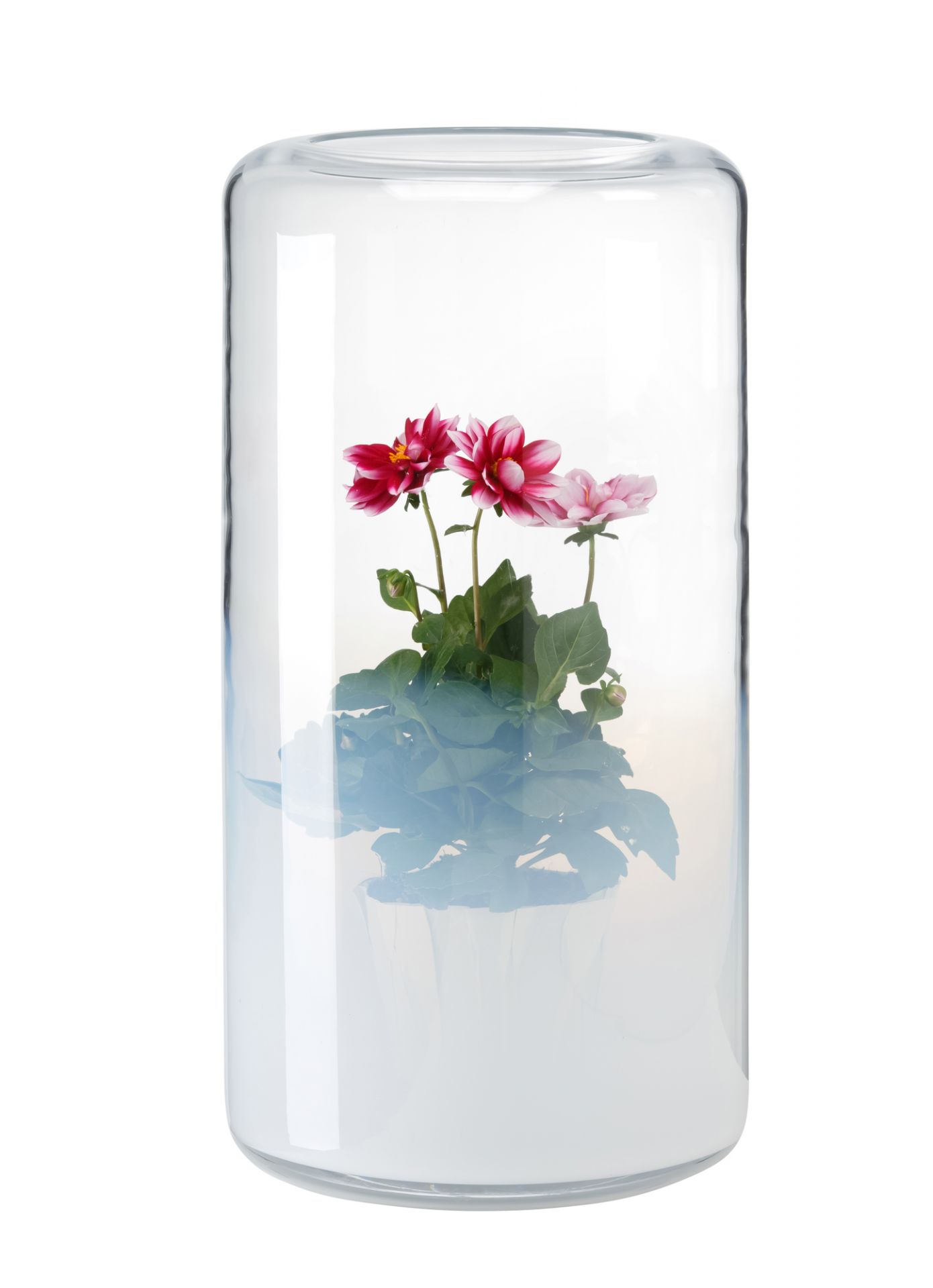 Glasgow Vase 45 cm Favius