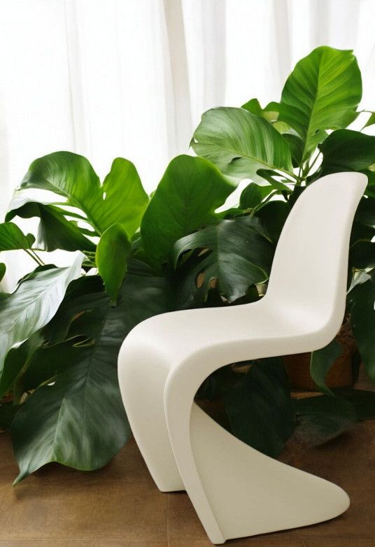 Panton Chair Kunststoff Stuhl Vitra NEUE HÖHE Beige