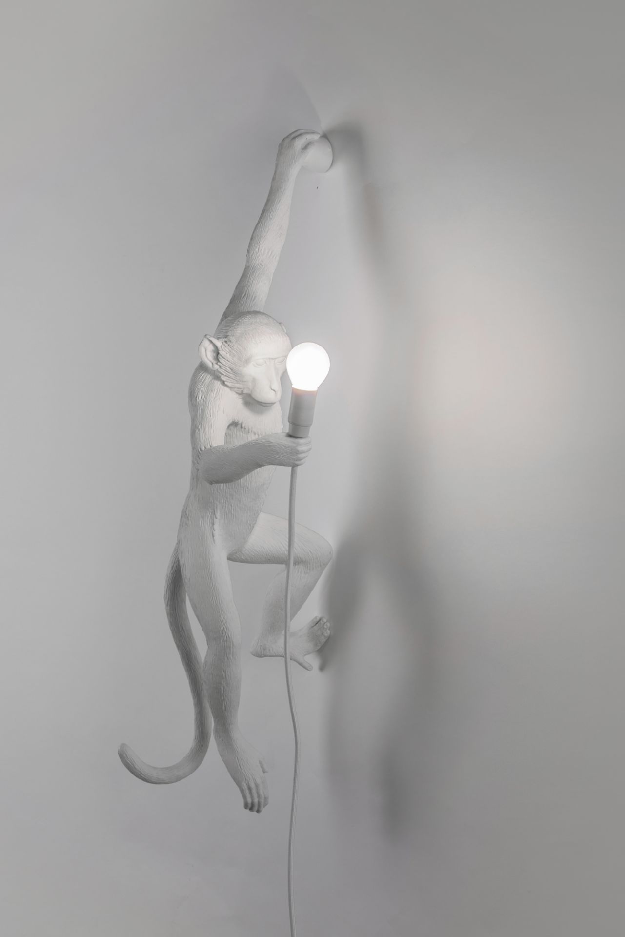 Monkey Lamp Wandleuchte Outdoor links Seletti EINZELSTÜCK