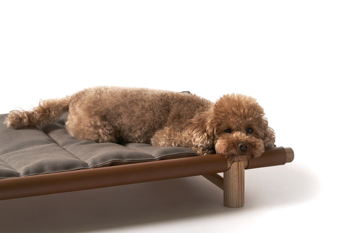 Kissen mit Bezug für Berberé Transportable Dog bed Hundebett Opinion Ciatti