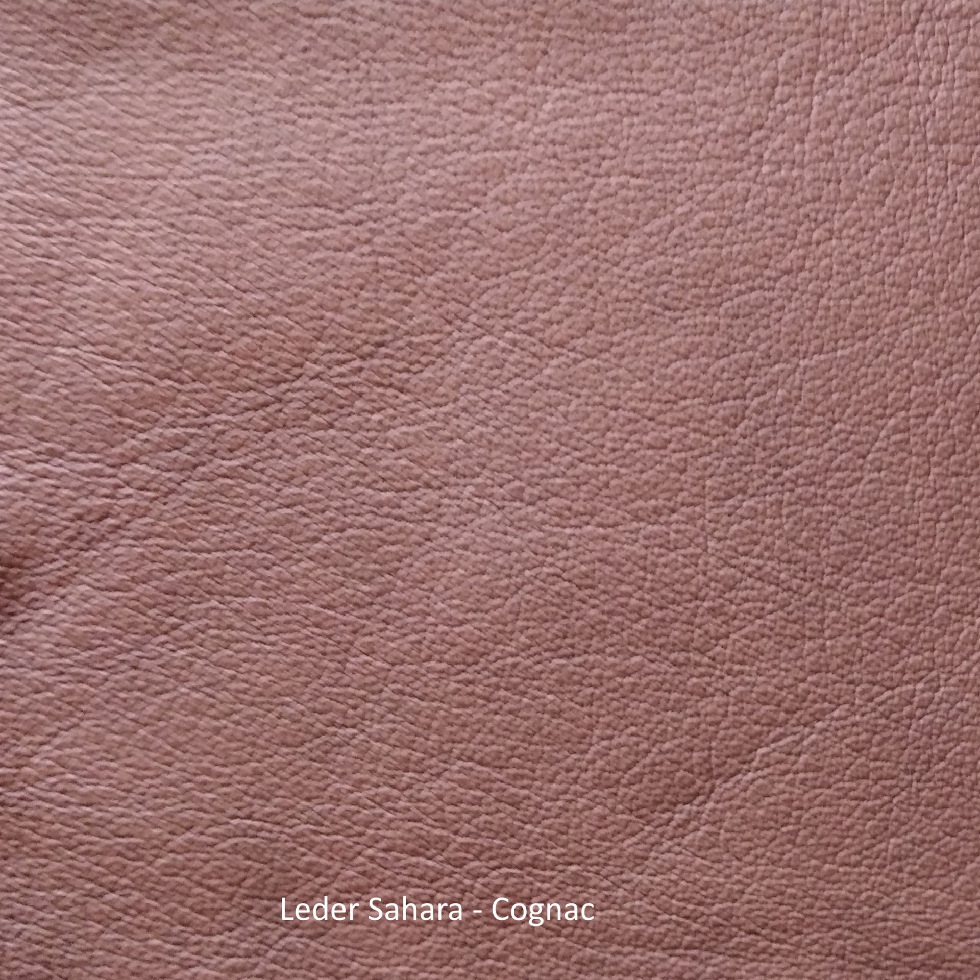 Ledermusterkarte Sahara Freifrau Manufaktur