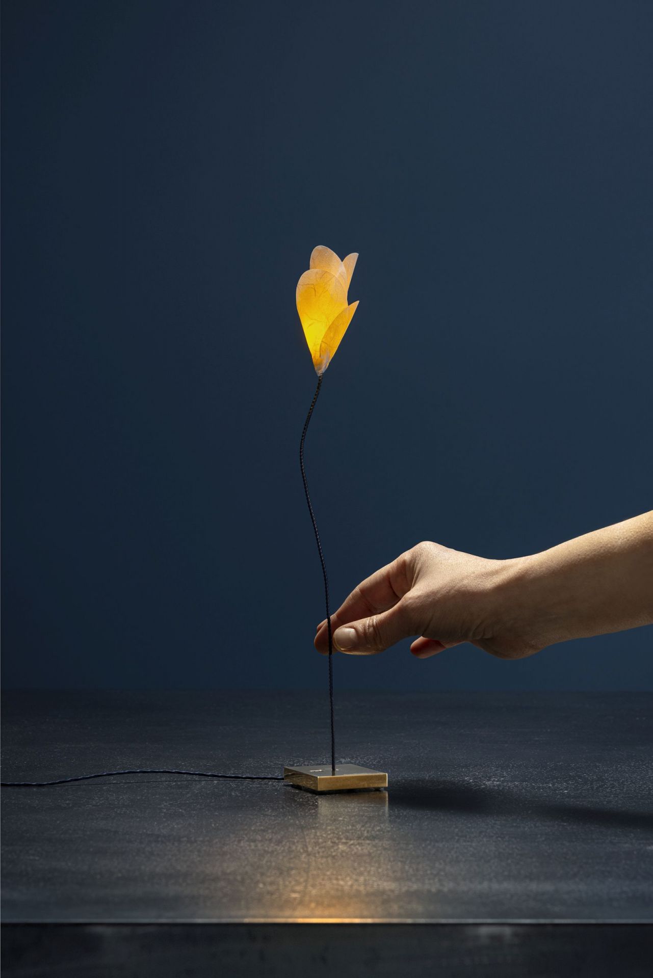 For You USB Tischleuchte Catellani & Smith