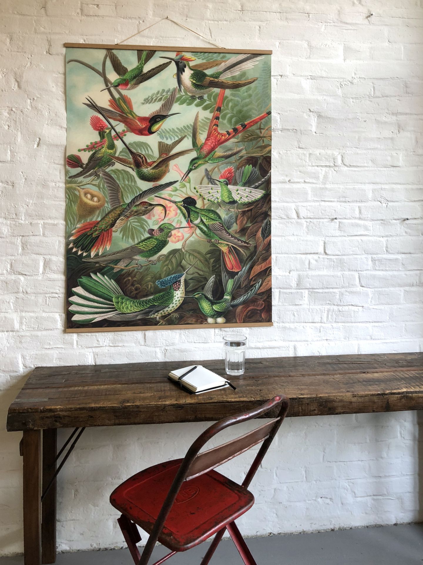 Flowers Poster eicie EINZELSTÜCK