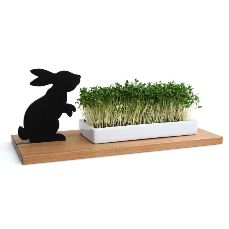 Hase Kresseschale Side by Side EINZELSTÜCK