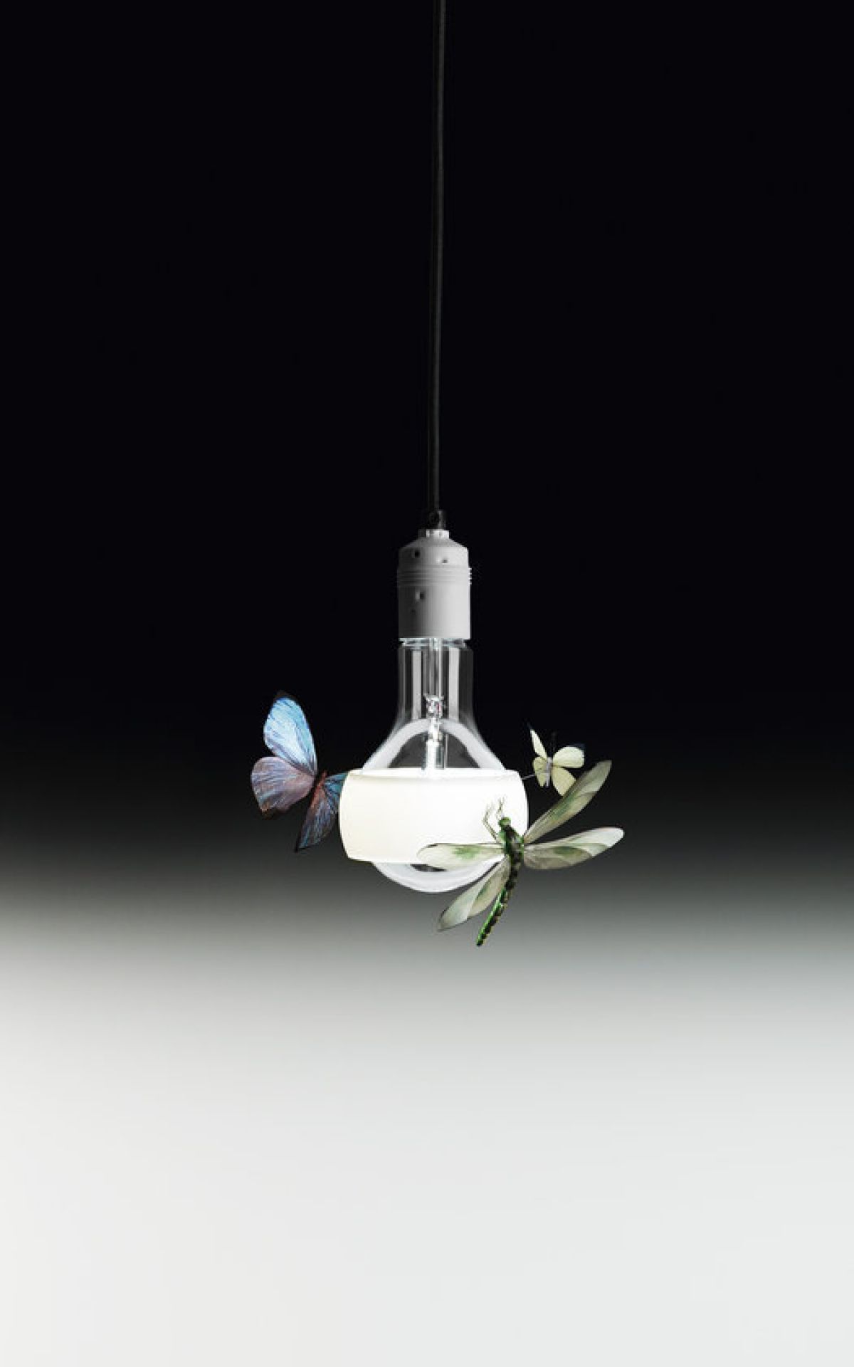 Johnny B. Butterfly Hängeleuchte Ingo Maurer
