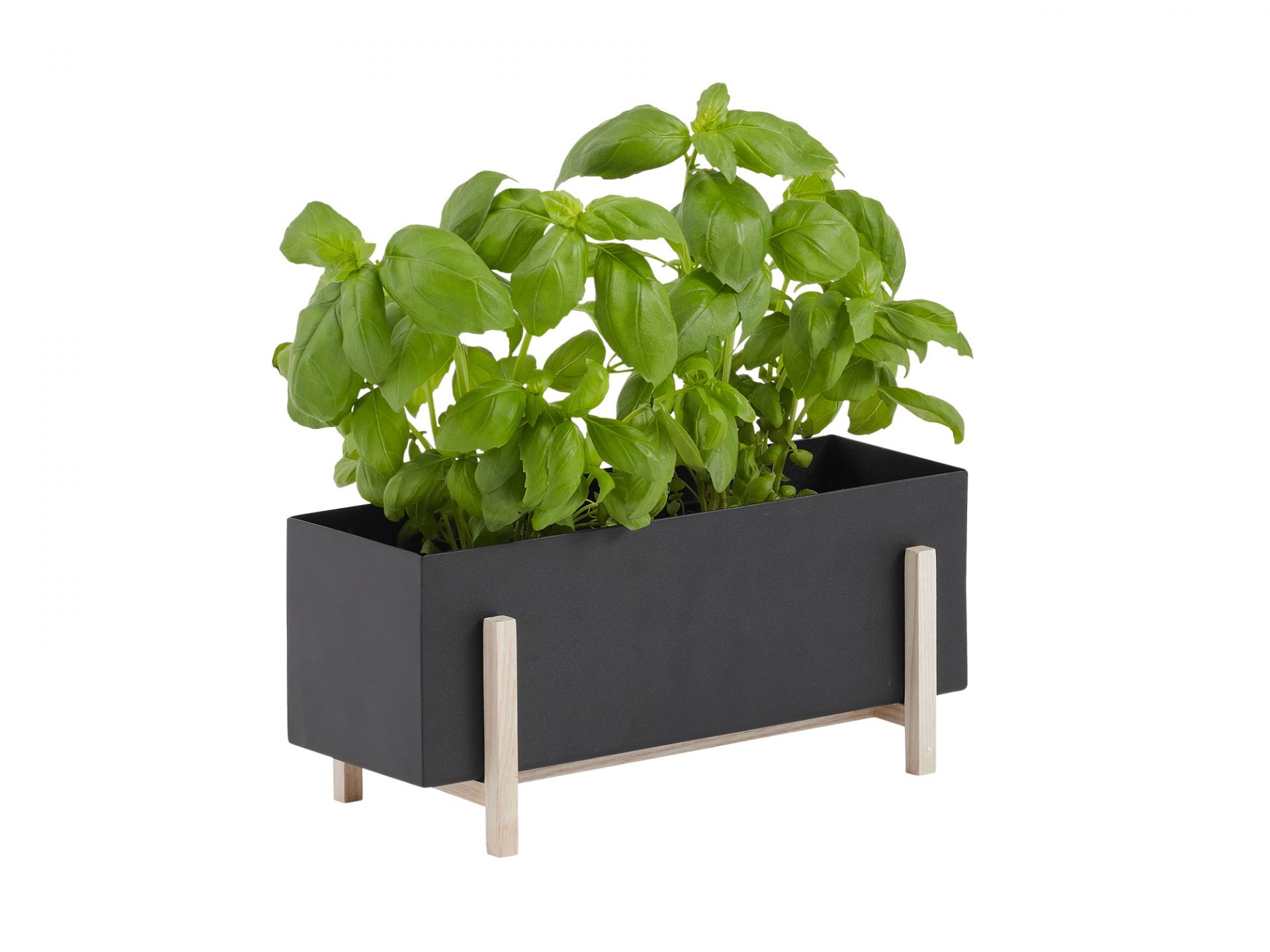Botanic Kräuter-Box Design House Stockholm EINZELSTÜCK