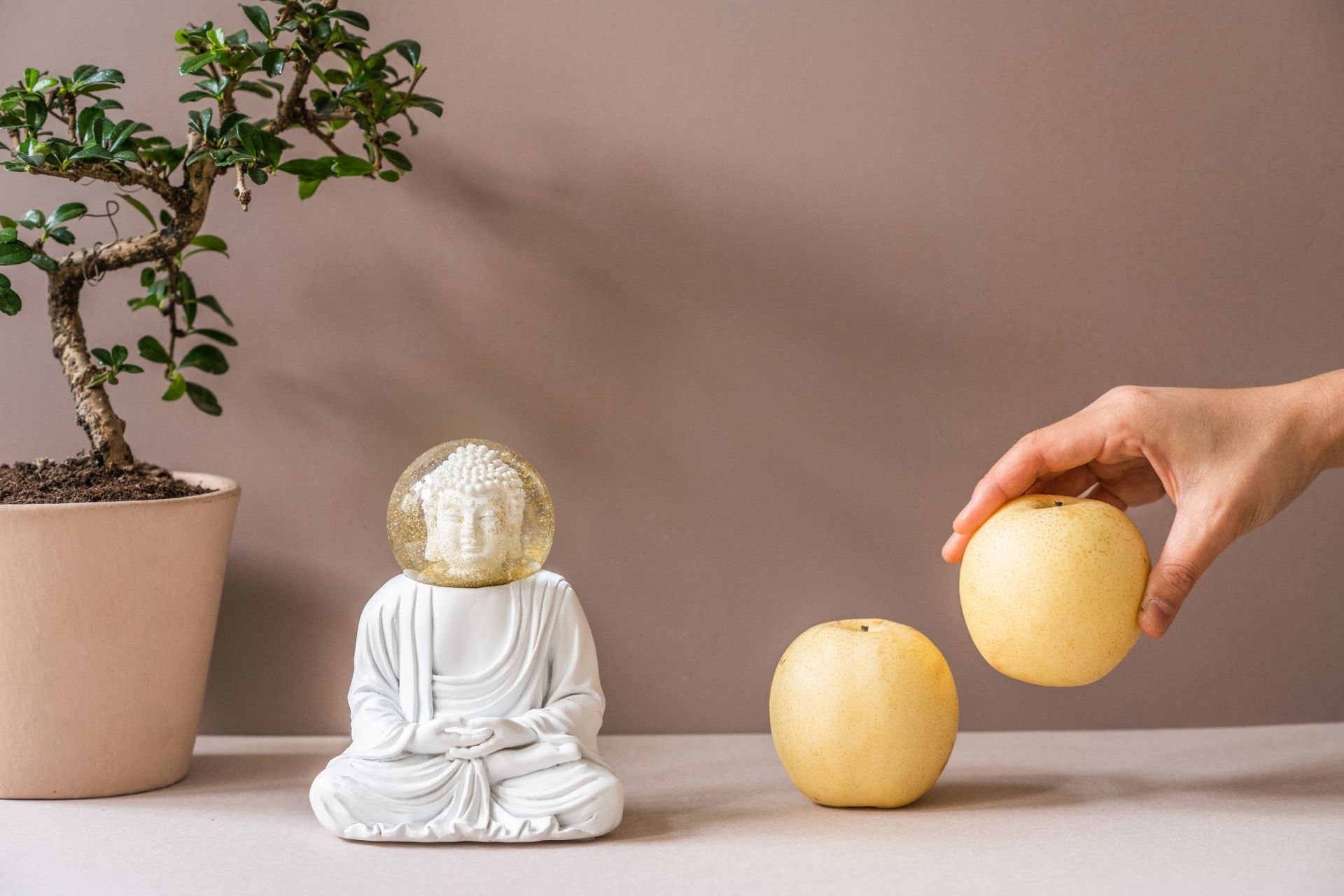 Summerglobes The White Buddha Glitzerkugel Donkey EINZELSTÜCK