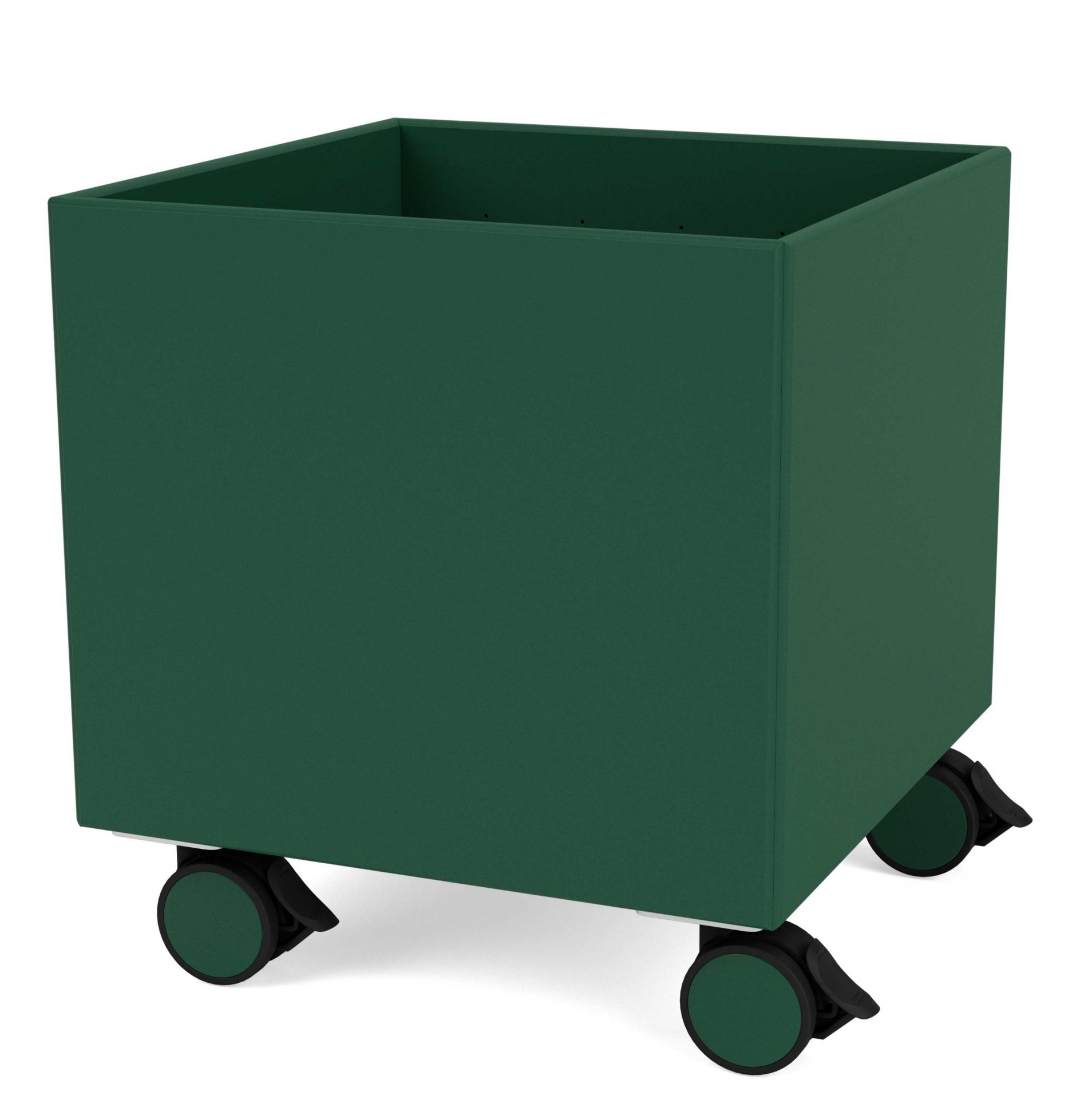 Colour Box I Aufbewahrunsbox auf Rollen Montana Pine 136