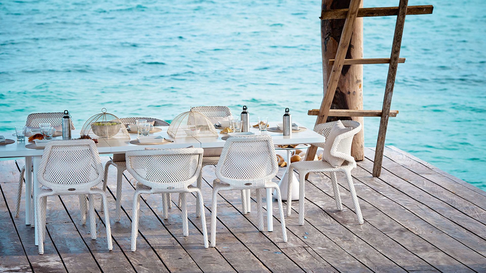 Seashell Armchair Armlehnstuhl chalk Dedon