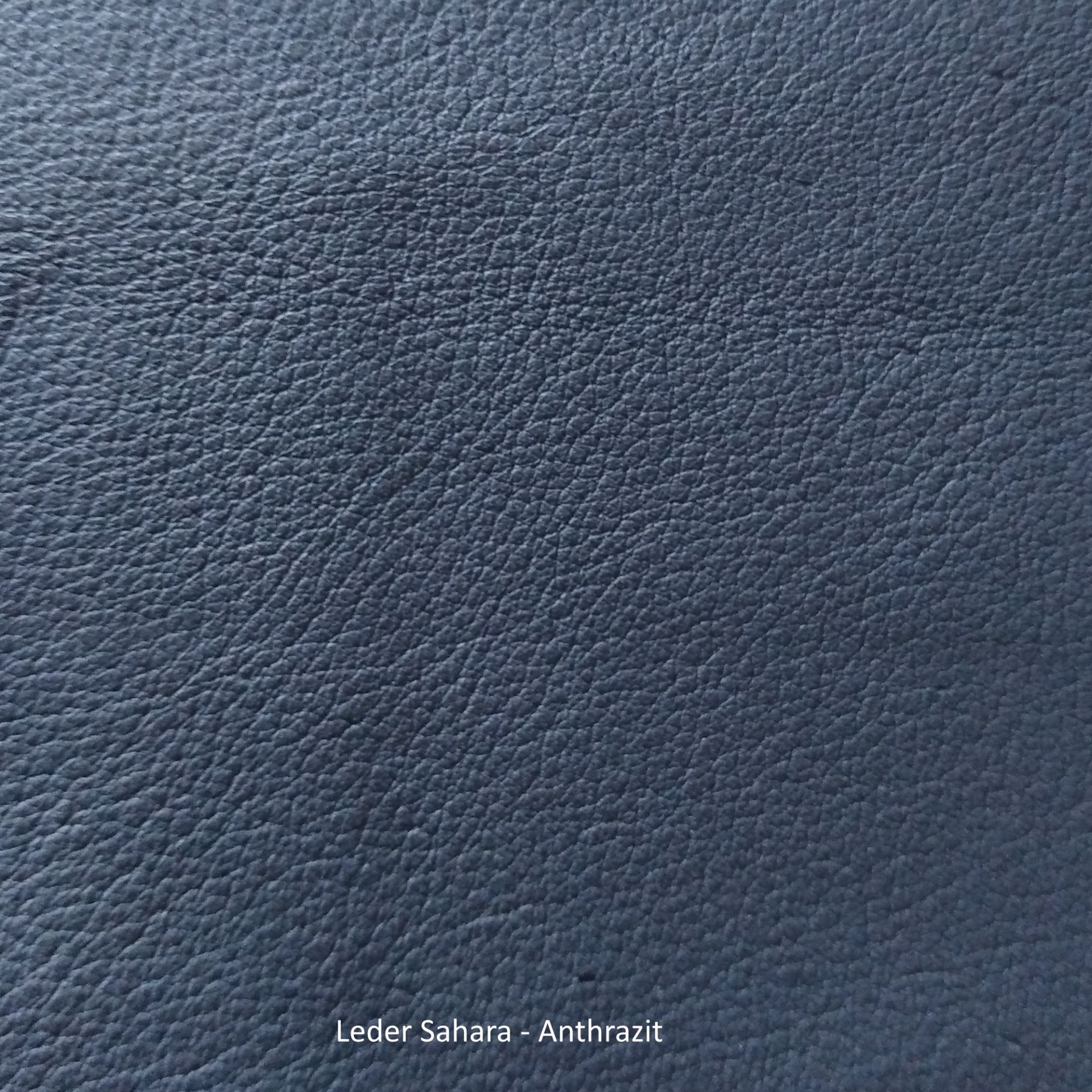 Ledermusterkarte Sahara Freifrau Manufaktur