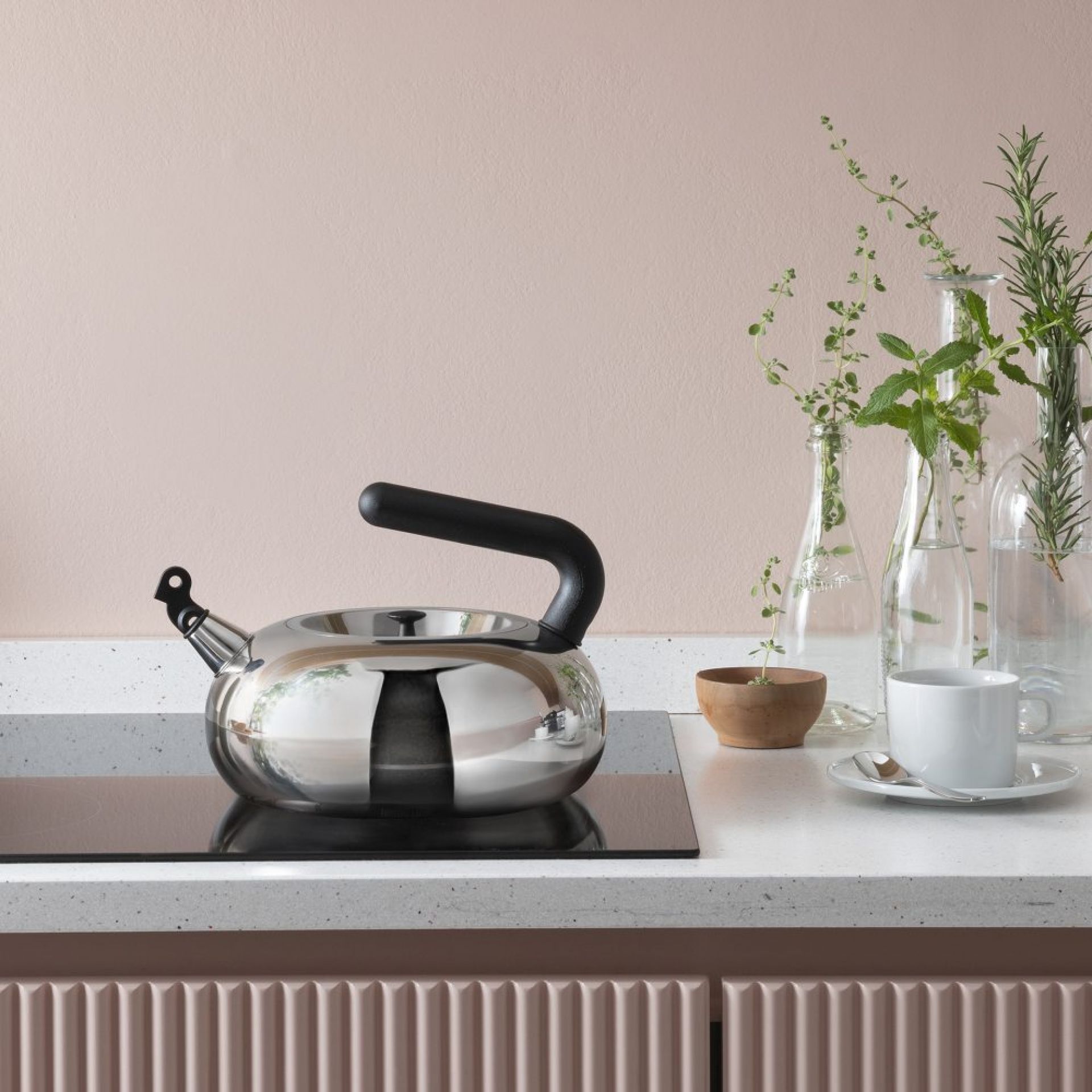 Irony Bulbul Wasserkessel AC100 Alessi LIMITED EDITION