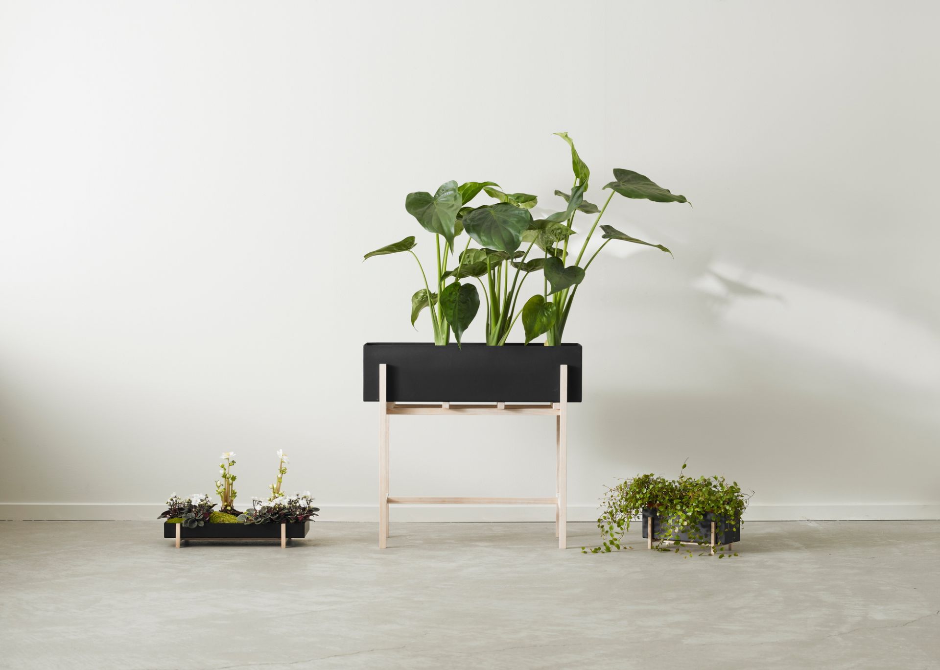 Botanic Kräuter-Box Design House Stockholm EINZELSTÜCK