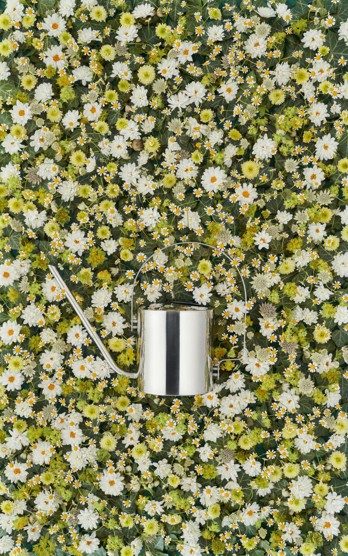 Original Flower Watering Can Gießkanne Stelton EINZELSTÜCK